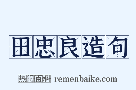 田忠良造句是什么意思的图片